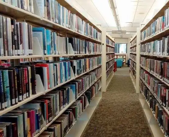 Kocie rozmowy i kolorowe prace - „Z pazurem! Warsztaty inspirowane Dniem Kota”