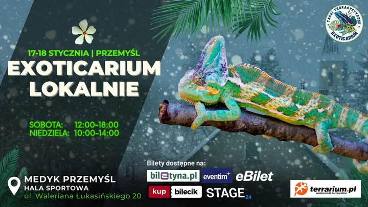Grafika promocyjna wydarzenia EXOTICARIUM LOKALNIE – Przemyśl: targi terrarystyczne 17–18 stycznia