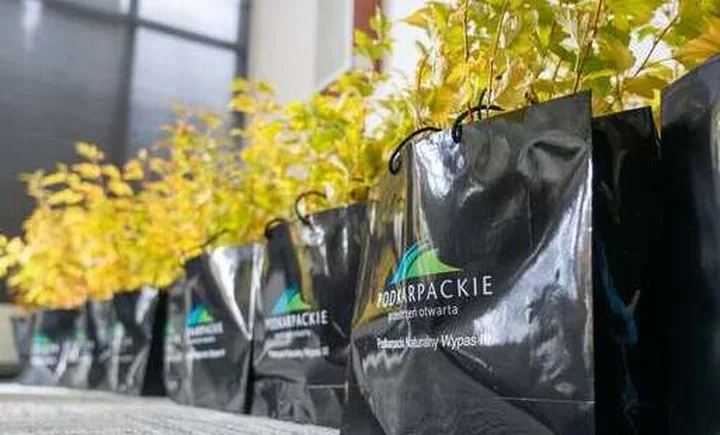 NIK ocenia pomoc po kryzysach. Beneficjenci mogą opisać swoje doświadczenia