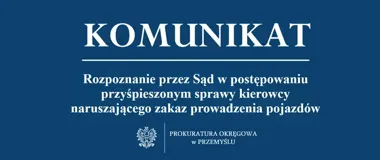 Dożywotni zakaz prowadzenia i 9 miesięcy więzienia. Prokuratura rozważa apelację